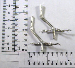 Bird Feet with Legs Bluebird