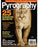 Pyrography Magazine Vol 7
