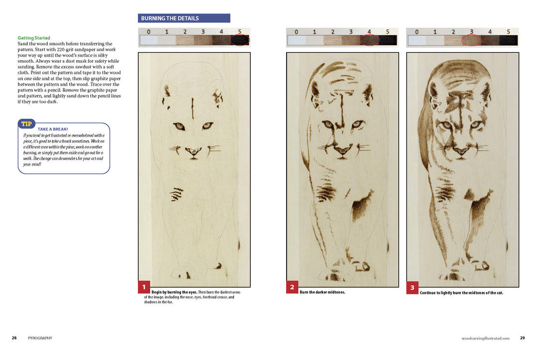 Pyrography Magazine Vol 7