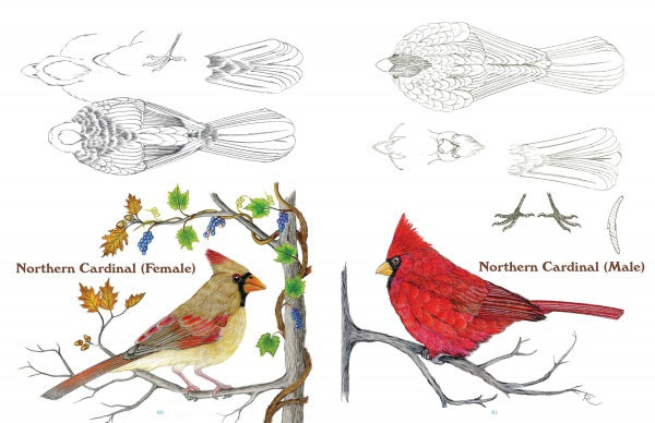 50 Bird Woodcarving Patterns - Russell