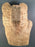 Grizzly Bear Roughout-Butternut- Debbe Edwards