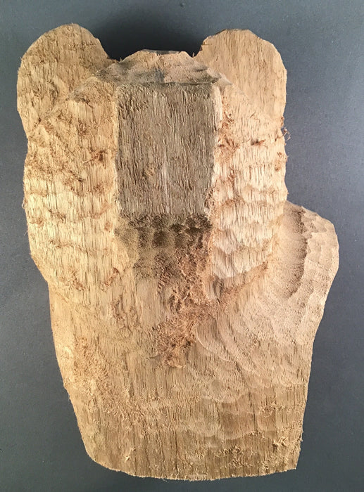Grizzly Bear Roughout-Butternut- Debbe Edwards