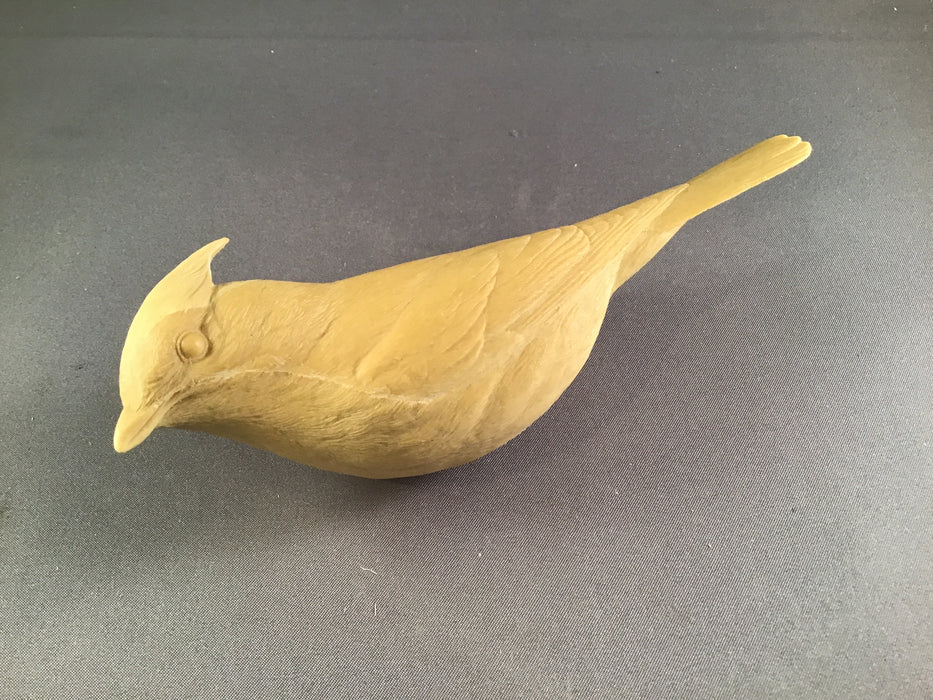 Cedar Waxwing Cast