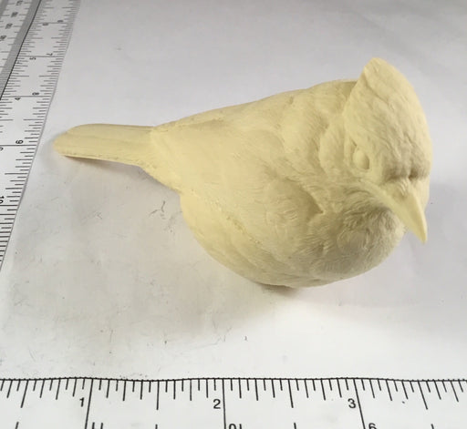 Study Cast - Mini Blue Jay - Guge
