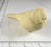 Study Cast - Mini Blue Jay - Guge