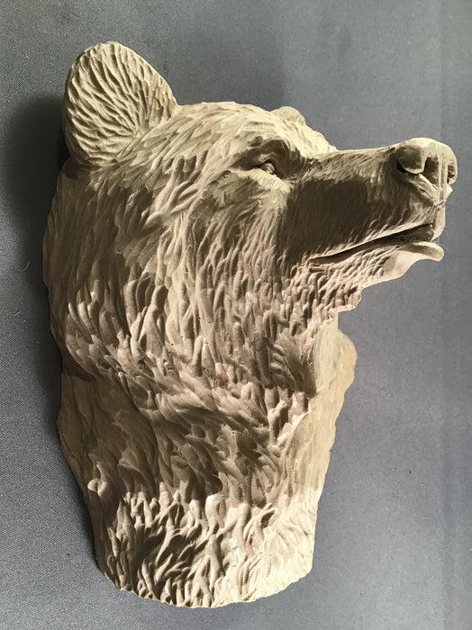 Study Cast Grizzly Bear-Debbe Edwards