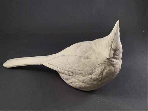 Cardinal Casting - Winter - Guge