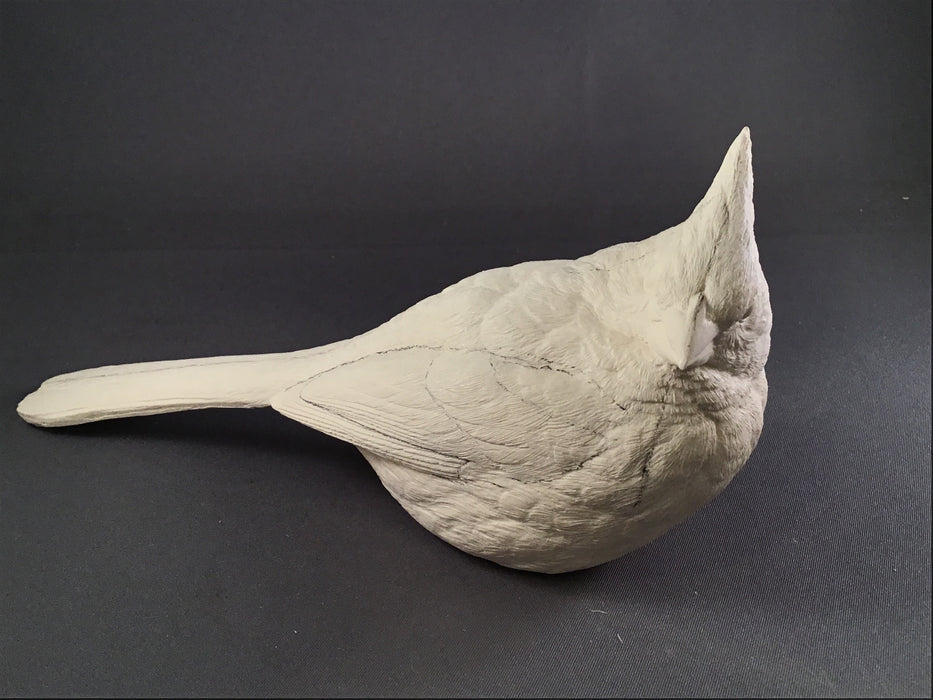 Cardinal Casting - Winter - Guge