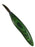 Silvern 1.5" Carvers Knife CRESCENT-Green