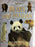 Bears and Pandas (Nature Watch) - Bright