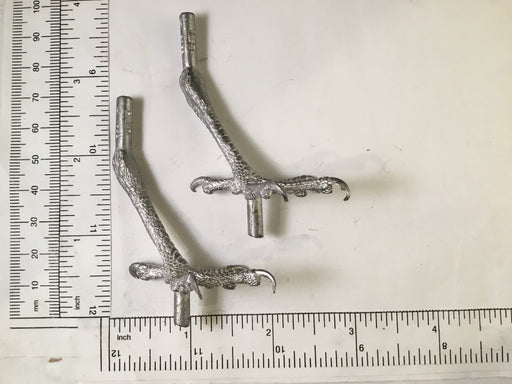 Bird FEET-SPARROW HAWK