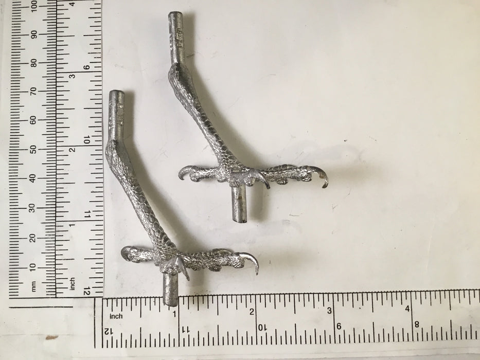 Bird FEET-SPARROW HAWK
