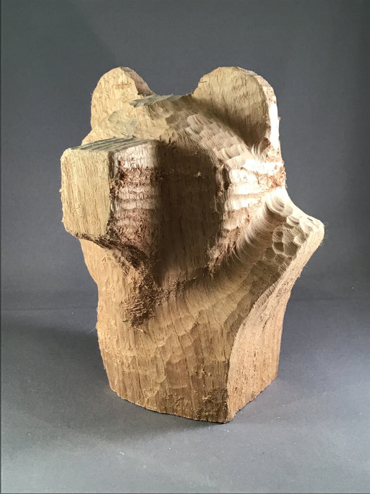 Grizzly Bear Roughout-Butternut- Debbe Edwards