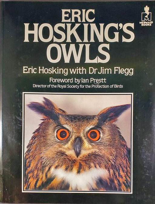 Eric Hoskings Owls
