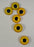 YELLOW Eyes - SECONDS*
