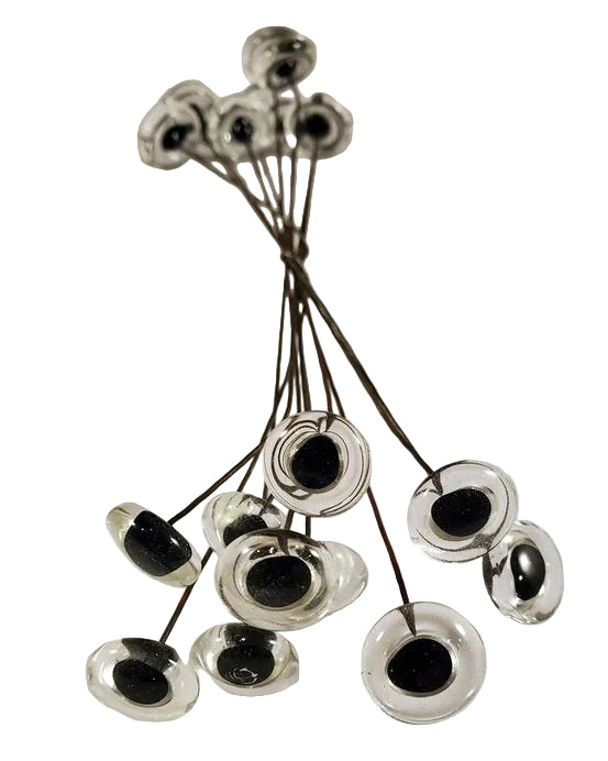 Fish Eyes BLANKS/CLEAR