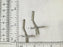 Bird FEET-IMMATURE SONGBIRD