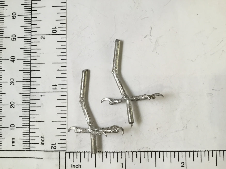 Bird FEET-IMMATURE SONGBIRD
