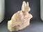 Bobcat Laying Roughout- Basswood-Debbe Edwards