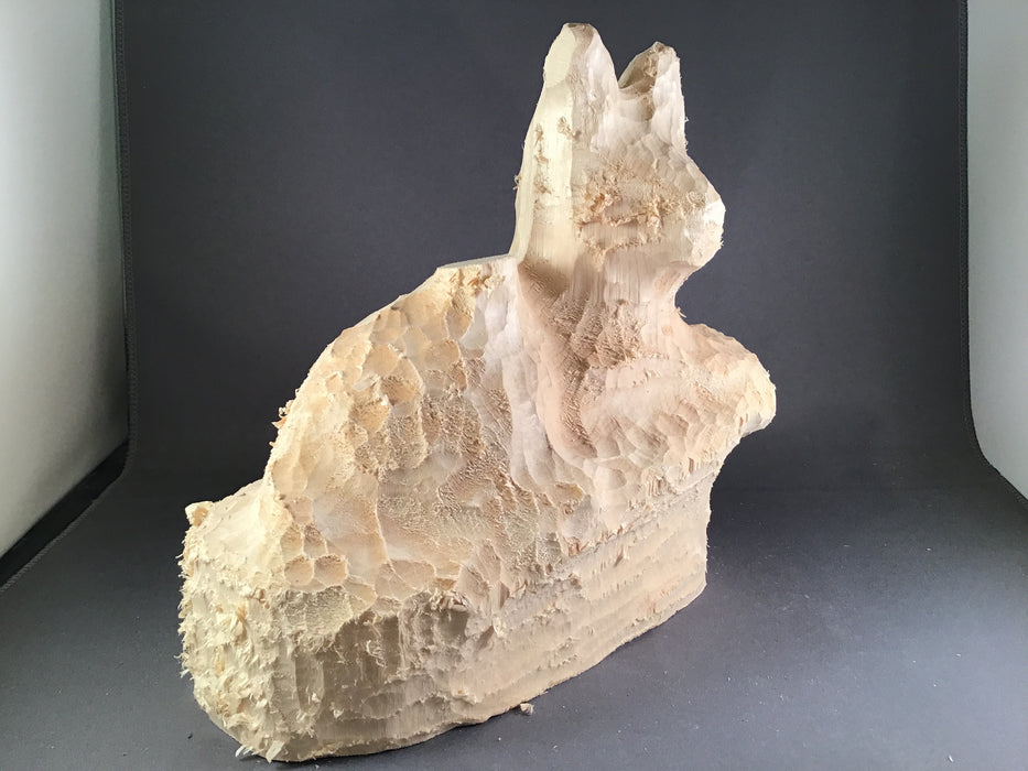 Bobcat Laying Roughout- Basswood-Debbe Edwards