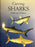 Carving Sharks- Hillman