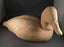 Canvasback Basswood Roughout - Full Size