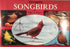 Favorite Songbirds Paperback – Illustrated, January 6, 1997