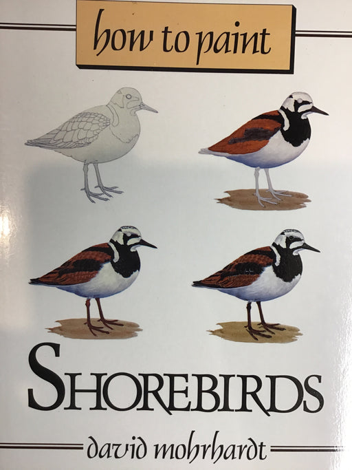 How to Paint Shorebirds: A Guide to Materials, Tools, and Techniques- Mohrhardt  1989