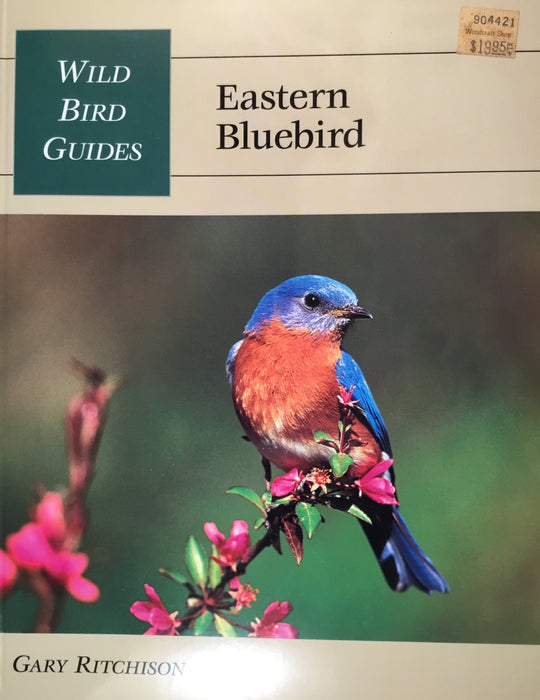 Eastern Bluebird (Wild Bird Guides) Paperback – January 1, 2000