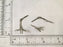 Bird FEET-Two Part Feet for Songbirds-SMALL