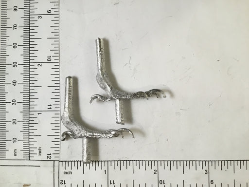 Bird FEET-KINGFISHER
