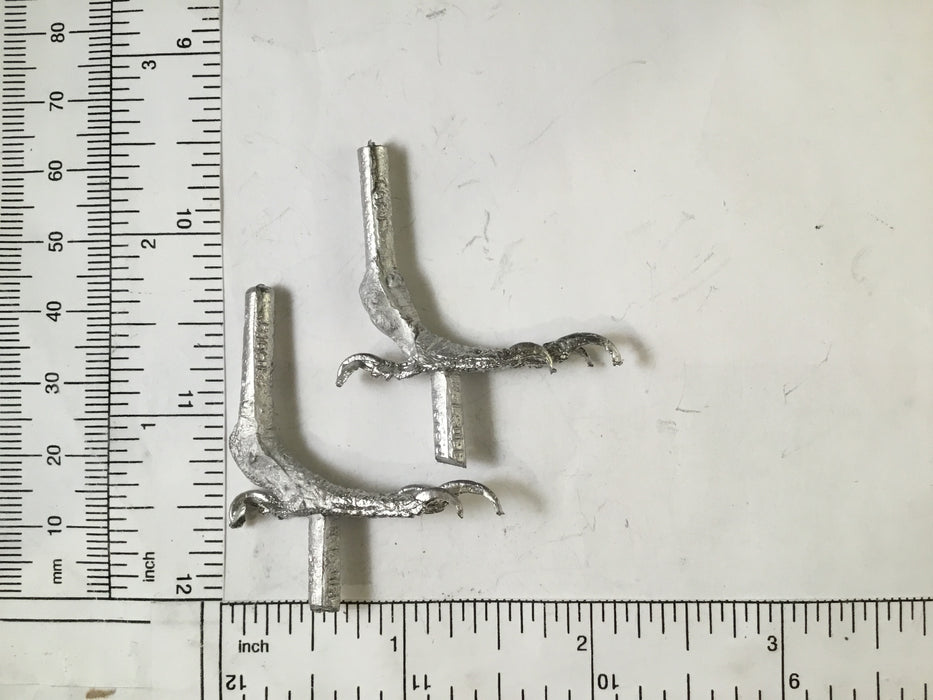 Bird FEET-KINGFISHER