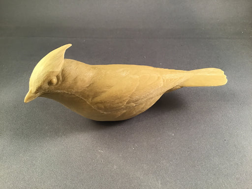 Cedar Waxwing Cast