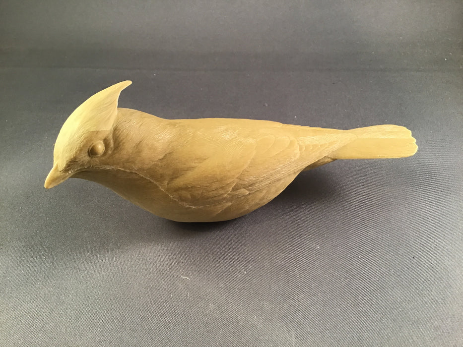 Cedar Waxwing Cast