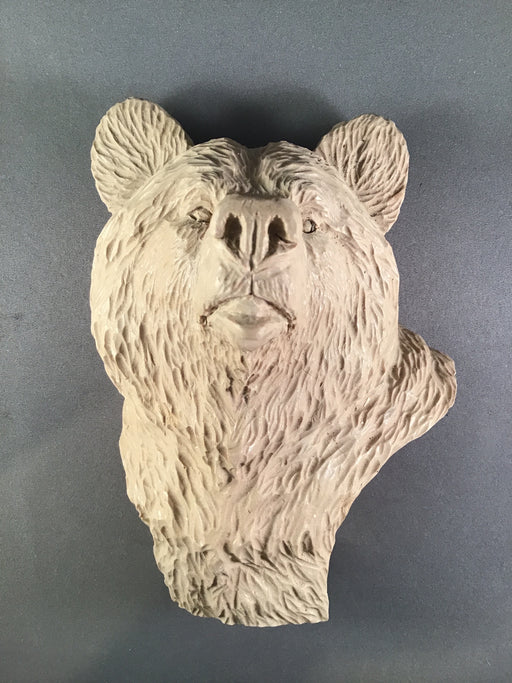 Study Cast Grizzly Bear-Debbe Edwards