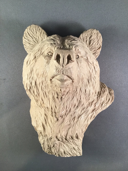 Study Cast Grizzly Bear-Debbe Edwards