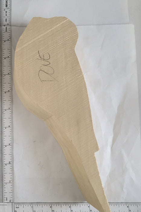 Dove Basswood Blank - Full Size