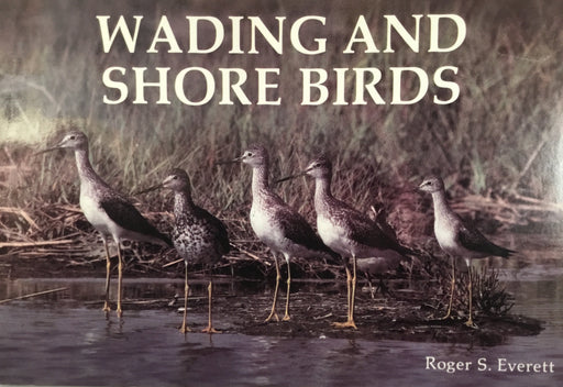 Wading and Shore Birds: A Photographic Study Paperback – October 1, 1999
