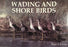 Wading and Shore Birds: A Photographic Study Paperback – October 1, 1999