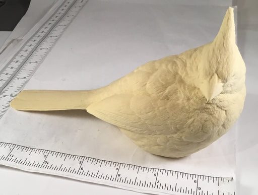 Study Cast - Small Cardinal - Guge