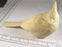 Study Cast - Small Cardinal - Guge