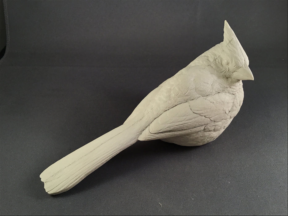 Cardinal Casting - Winter - Guge