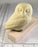 Study Cast - Mini Owl - Guge