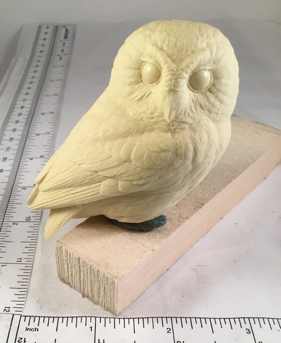 Study Cast - Mini Owl - Guge