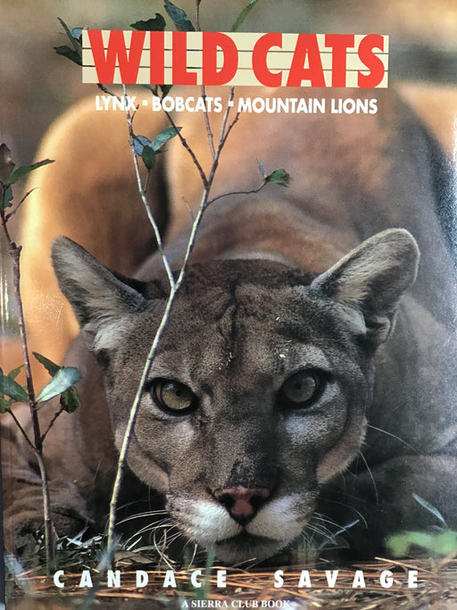 Wild Cats: Lynx Bobcats Mountain Lions- Savage