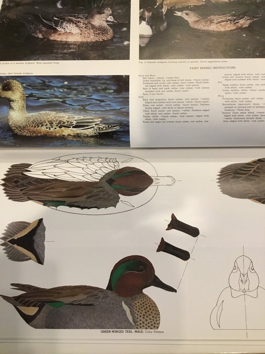 Decorative Decoy Designs-Dabbling & Whistling Ducks- Hardbound– January 1, 1986