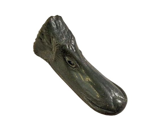 Study Bill - BLACK DUCK