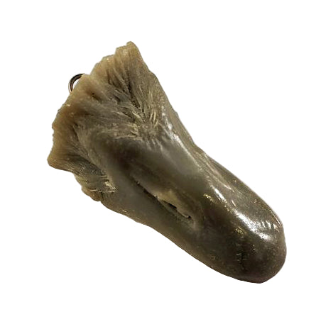 Study Bill - LESSER CANDA GOOSE