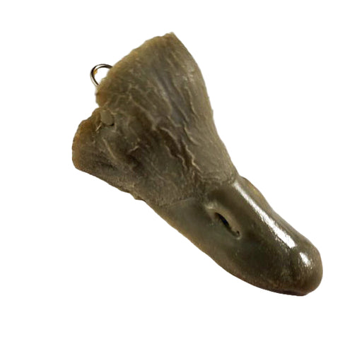 Study Cast Clearance — Mountain Woodcarvers