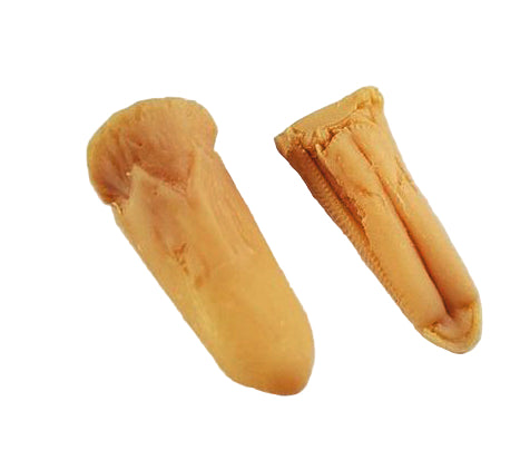 Study Bill - OLD SQUAW-2 PC